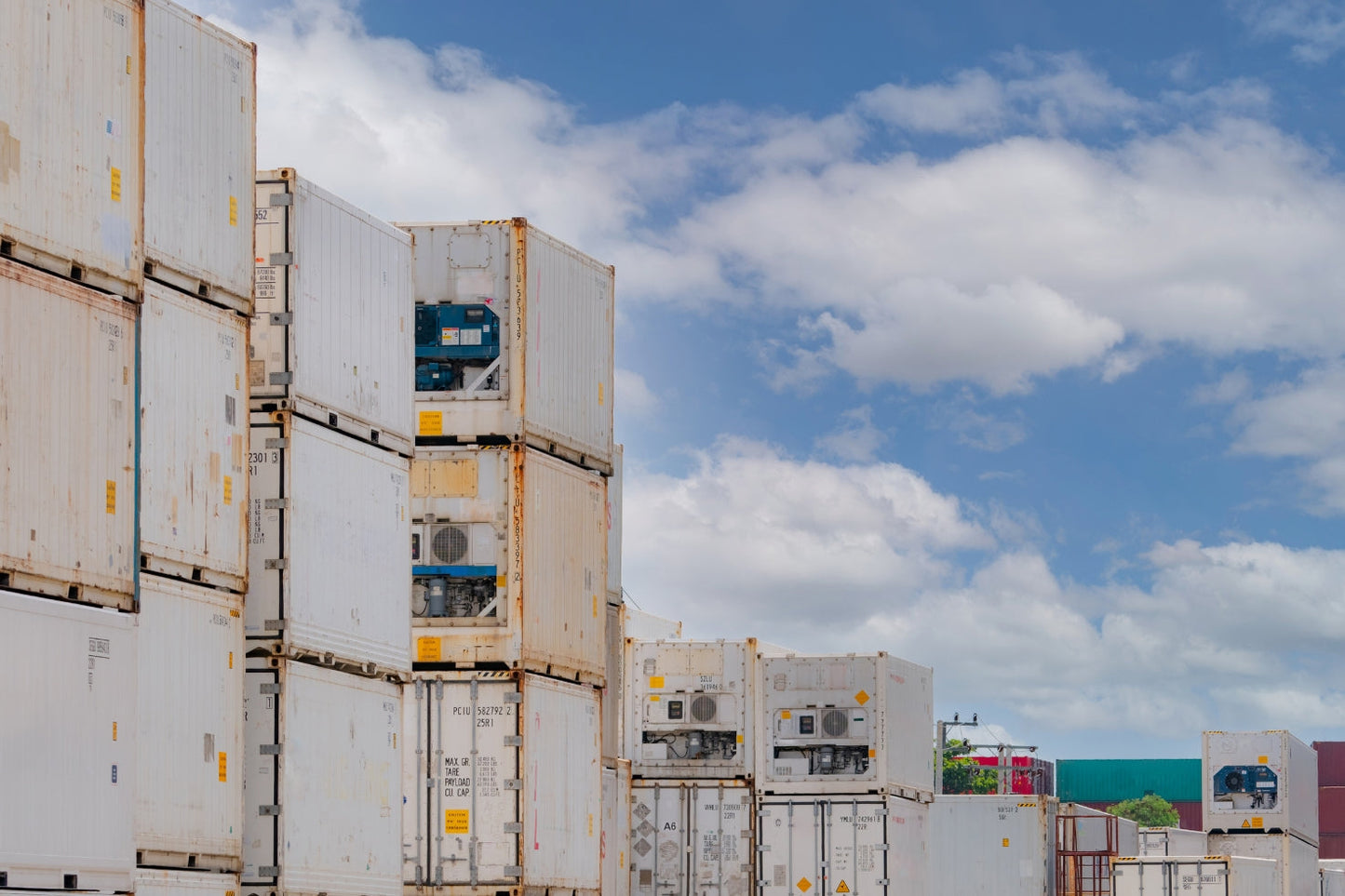 20ft Standard Working Refrigerated Shipping Container (20STRFW)